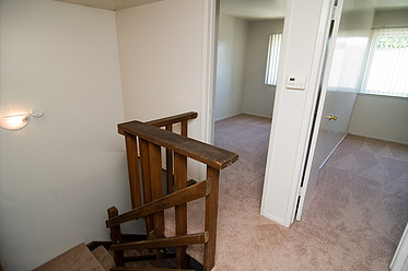 Wall-to-wall carpeting